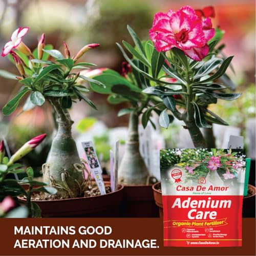 Casa De Amor Adenium Care Organic Fertilizer for Adenium Plants, Multi Micronutrients Fertilizer (2 Kg, Powder) (FROM INDIA)NUZ - View 2 of 6