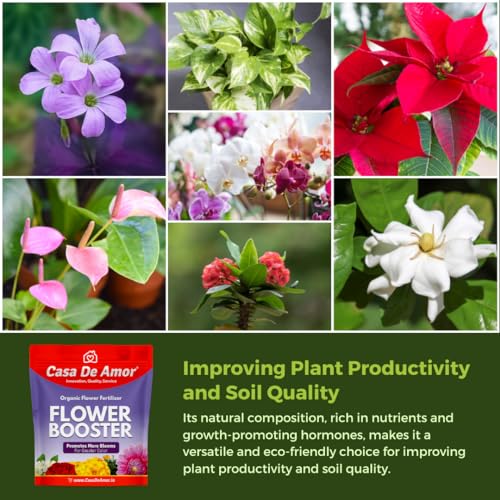 Casa De Amor Flower Booster Special Essential Fertilizer For Flower Plants (900 Gm), Powder (FROM INDIA)NUZ - View 2 of 6