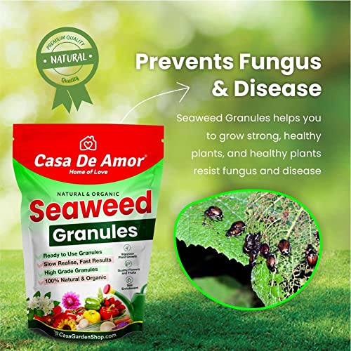 Casa De Amor Seaweed Granules Organic Fertilizer, Plant Growth Promoter &amp; Bio-Stimulant, Suitable For All Types of Plants (2 Kg) (FROM INDIA)NUZ - View 6 of 6