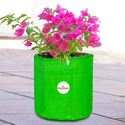 Casa De Amor Premium HDPE UV Protected 250 GSM Round Shaped Green Colour Plants Grow Bags Suitable for Terrace and Vegetable Gardening (Size 12x12 Inches, Pack of 10) (FROM INDIA)NUZ - View 2 of 6