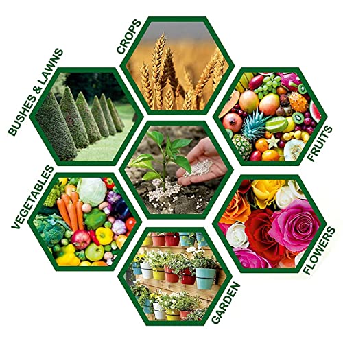 Casa De Amor Zinco Super (Zinc 33% and Sulphur 15%) Micronutrient Fertilizer for All Types of Plants, Lawn and Gardening (100 gm) (FROM INDIA)NUZ - View 4 of 7