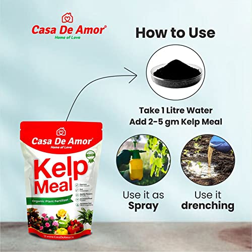 Casa De Amor Kelp Water Soluble Concentrate Powder | Pure &amp; Natural | Suitable For All Types of Plants (100 gm) - Set of 10 (FROM INDIA)NUZ - View 6 of 7