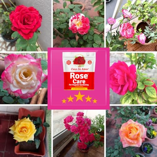Casa De Amor Rose Care Organic Essential Fertilizer for Rose Plants, Brown (900 Gram) (FROM INDIA)NUZ - View 5 of 6