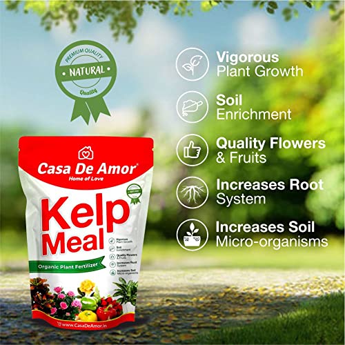 Casa De Amor Kelp Water Soluble Concentrate Powder | Pure &amp; Natural | Suitable For All Types of Plants (100 gm) - Set of 5 (FROM INDIA)NUZ - View 2 of 7
