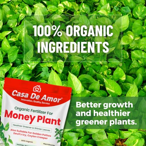 Casa De Amor Money Plant Essential Organic Fertilizer, Heathier Greener And Shinier Leaves For Indoor And Outdoor Gardening (900 Gram), Powder (FROM INDIA)NUZ - View 6 of 7