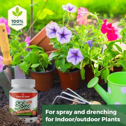 Casa De Amor Sea Gold Organic Seaweed Extract Powder | Water Soluble Concentrate Powder | All Purpose Fertilizer and Plant Growth Booster (100 gm) (FROM INDIA)NUZ - View 6 of 8