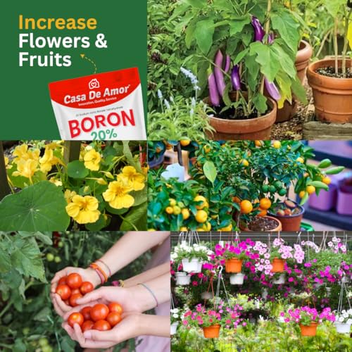 Casa De Amor Boron 20% Micronutrient Fertilizer for Healthy Growth of Vegetable Plants and Gardening (400 gm, Powder) (FROM INDIA)NUZ - View 2 of 6