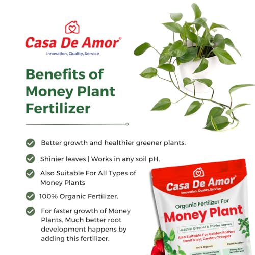 Casa De Amor Money Plant Essential Organic Fertilizer, Heathier Greener And Shinier Leaves For Indoor And Outdoor Gardening (900 Gram), Powder (FROM INDIA)NUZ - View 7 of 7