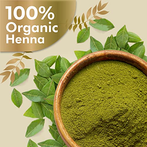 OZONE Henna(Mehndi)Hair Conditioner|Henna Powder For Men&amp;Women|Ideal For Strong Healthy Hair,Hair Fall Control,Damaged Hair,Shine&amp;Nourish The Hair|Paraben,Chemical&amp;Sulphate Free-100 G(Pack Of 6) (FROM INDIA SAB) - View 3 of 3