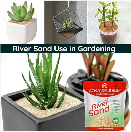 Casa De Amor Natural River Sand | Aquarium Sand Substrate | Pure Organic Plants Soil Mix Additive Adenium Cactus Succulent Bonsai | Use in Havan Pujan | Home Decor | Crafts (2 Kg) (FROM INDIA)NUZ - View 3 of 5