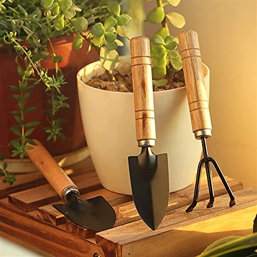 Casa De Amor Gardening Tools kit Hand Cultivator, Small Trowel, Trans-Planter 7 Inches (Mini Set of 3) (Pack of 1) (FROM INDIA)NUZ - View 2 of 7