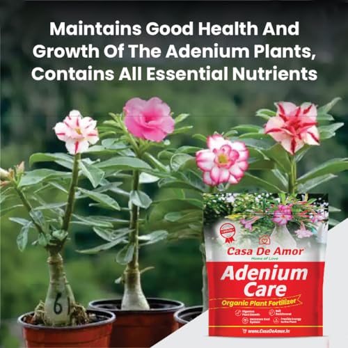 Casa De Amor Adenium Care Organic Fertilizer for Adenium Plants, Multi Micronutrients Fertilizer (2 Kg, Powder) (FROM INDIA)NUZ - View 3 of 6