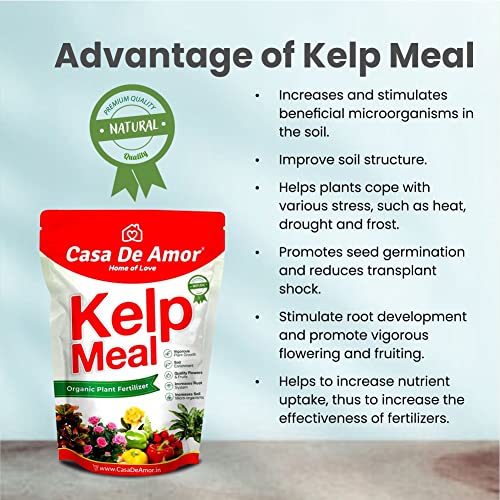 Casa De Amor Kelp Water Soluble Concentrate Powder | Pure &amp; Natural | Suitable For All Types of Plants (100 gm) - Set of 5 (FROM INDIA)NUZ - View 4 of 7
