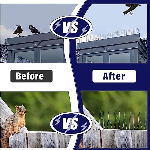 Home-Secure Bird Shield Anti Bird Spikes for Bird Control, Premium Bird Repellent Spikes, Pigeon Spikes with 1 Year Warranty (5 Pcs Set) (FROM INDIA)NUZ - View 3 of 9