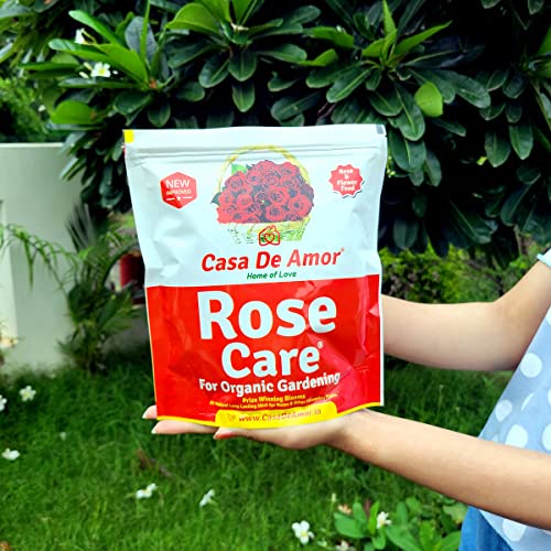 Casa De Amor Rose Care Organic Fertilizer for Rose Plants 900 gm and Root Fast Rooting Hormone, Promotes Rooting (50 gm) Grow New Plants from Cuttings (FROM INDIA)NUZ - View 5 of 8