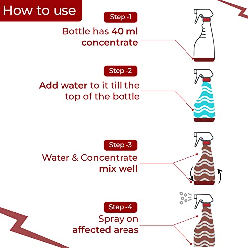 Good Morning Bed Bug Killer Spray, 40ml Concentrate - Pack of 3 (FROM INDIA)NUZ - View 4 of 5