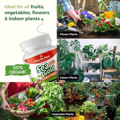 Casa De Amor Sea Gold Organic Seaweed Extract Powder | Water Soluble Concentrate Powder | All Purpose Fertilizer and Plant Growth Booster (100 gm) (FROM INDIA)NUZ - View 3 of 8