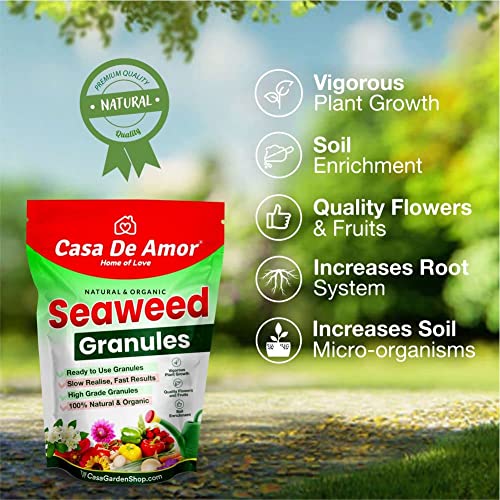Casa De Amor Seaweed Granules Organic Fertilizer, Plant Growth Promoter &amp; Bio-Stimulant, Suitable For All Types of Plants (250 gm) (FROM INDIA)NUZ - View 6 of 7