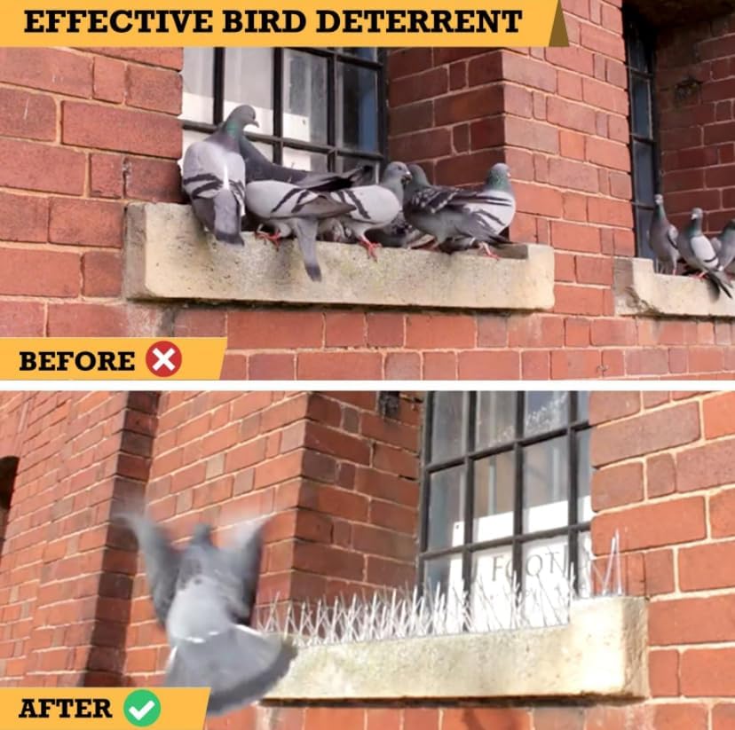 Home-Secure Bird Shield Anti Bird Spikes for Bird Control, Premium Bird Repellent Spikes, Pigeon Spikes with 1 Year Warranty (5 Pcs Set) (FROM INDIA)NUZ - View 4 of 9