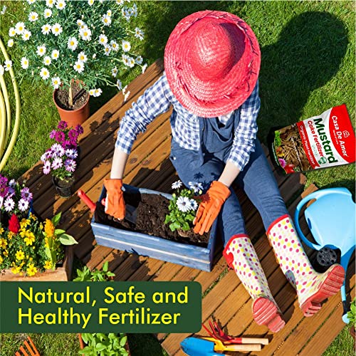Casa De Amor Mustard Oil Cake Fertilizer for Plant Growth and Healthy Roots (2 Kg) (FROM INDIA)NUZ - View 6 of 7