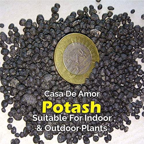 Casa De Amor Organic Potash Essential Fertilizer For Gardening (900 Gm), Granules (FROM INDIA)NUZ - View 8 of 8