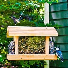 OAKY Pot Hanging Basket Wire Rope Cable Hanger 2&amp;3 Feet for Hanging Flower Basket Potted Plants Holder Chain Birds Feeder/House Christmas Fairy Lights Lamps Lanterns Ornaments.(4MM,Green) (2 Feet, 4) (FROM INDIA)NUZ - View 2 of 4