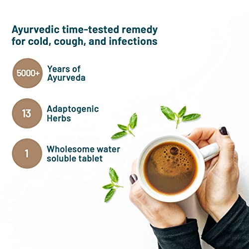 Wellbeing Nutrition Grandma's Kadha - Ayush Kwath Immunity Booster | Ayurvedic Kadha for Immunity, Cold, Cough, Sore Throat &amp; Congestion |Immunity Boosters for Adults (15 Effervescent Tablets)(FROM INDIA)NUSS - View 3 of 4