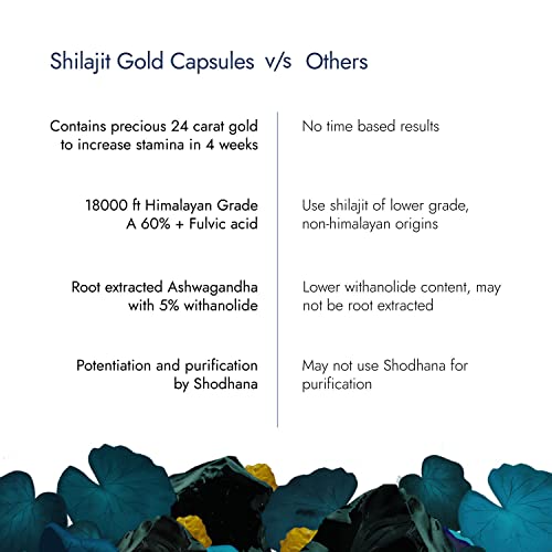 Kapiva Shilajit Gold 60 Capsules | Contains 24 Carat Gold | Boosts Stamina In 4 Weeks | 100% Ayurvedic - View 3 of 7