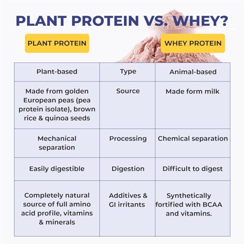 Cureveda PRO Super-3 Vegan Plant Protein powder with Superfood (Mango) | 500 gm - View 3 of 7