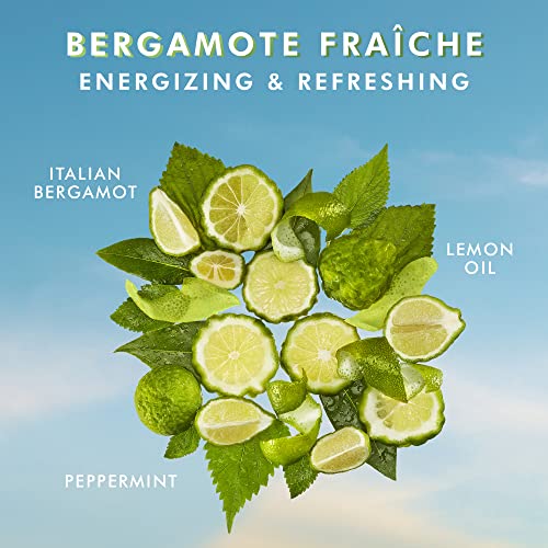 Moroccanoil Shower Gel Bergamot Fraiche 250ml (FROM INDIA SAB) - View 3 of 3