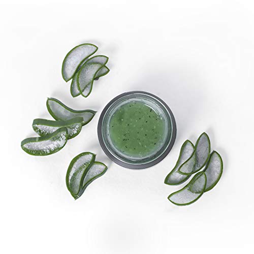 ENN Aloe Cucumber Mild Gel Face Scrub Antioxidant Powerhouse With Aloe Vera | Annatto Seeds &amp; Cucumber Extract | Natural | For Men &amp; Women | 50 gm (FROM INDIA SAB) - View 3 of 3