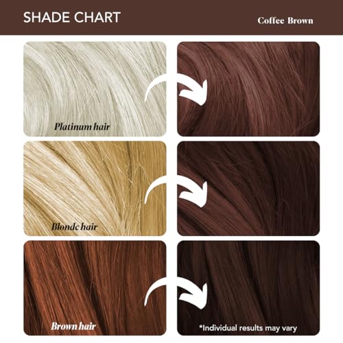 Paradyes Coffee Brown Semi-Permanent Hair Color Kit: Ammonia-Free, Lasts 8+ Washes, Ideal for Dark Hair, Enriched with Nourishing Conditioner Crème - View 2 of 7