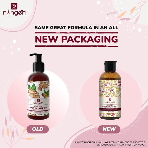 Ningen Ginger Hair Shampoo I Enriched with Witch Hazel, Lemongrass I Irritation Free, Paraben Free I Stimulates Hair Growth and Treats Dandruff I 300g, Off White - View 3 of 6