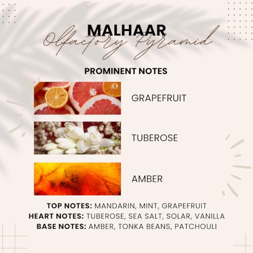 Malhaar by Attarang: Premium Attar | Grapefruit, Tuberose &amp; Amber Notes | Rare Ingredients for Long-lasting, Captivating Scent - 10ml - View 4 of 4