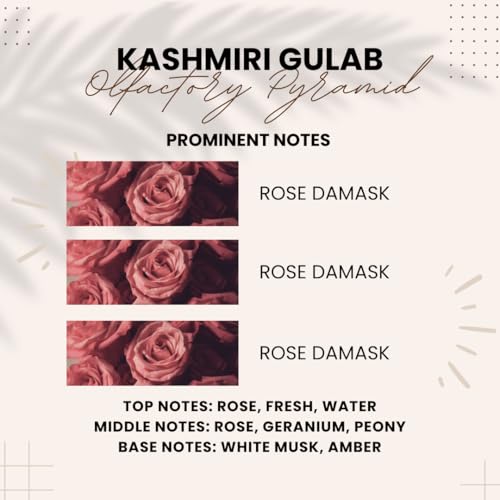 Kashmiri Gulab by Attarang - Premium Rose Damask Perfume Oil for Devotional &amp; Daily Use | Attar 10mlFROM INDIA)NUSS - View 4 of 4