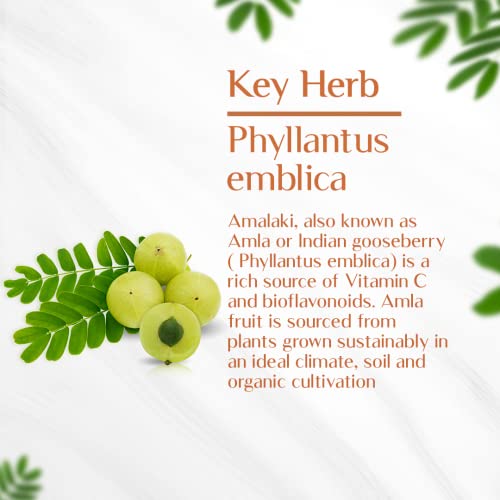 Maharishi Ayurveda Organic Amla Capsules 700 MG| Amlaki Rasayana | Detoxifies Body | Rich In Vitamin C | Boosts Immunity | Improves Digestion | (120 Capsules)(FROM INDIA)NUZ - View 2 of 3