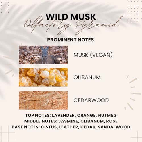 Wild Musk by Attarang: Premium Attar | Musk, Olibanum &amp; Leather Notes | Rare Ingredients for Long-lasting, Captivating Scent - 10ml - View 4 of 4