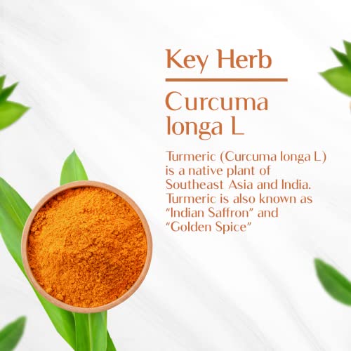 Maharishi Ayurveda 100% OrganicTurmeric Capsules 500 MG |Boosts Immunity | Joint Support | Anti-Inflammatory | Supports Skin Health | 60 Capsules(FROM INDIA)NUZ - View 3 of 3