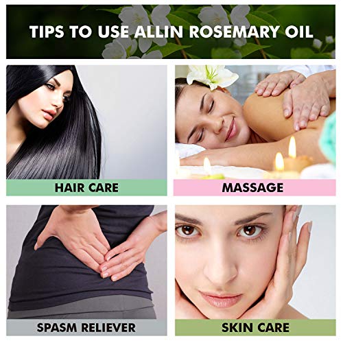 Allin Exporters Rosemary Essential Oil 100% Natural, Pure &amp; Therapeutic Grade for Hair Growth, Skin Massage, Diffuser Aromatherapy &amp; DIY Blends (15 ml) - View 4 of 4