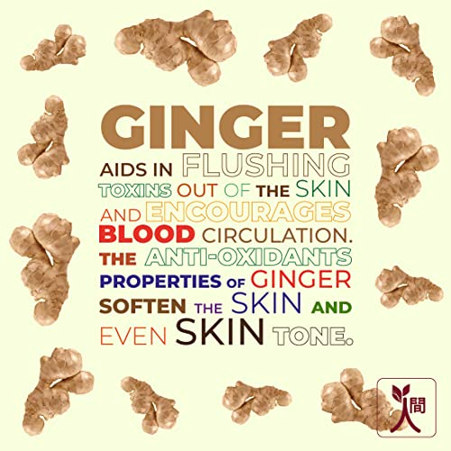 Ningen Ginger Hair Shampoo I Enriched with Witch Hazel, Lemongrass I Irritation Free, Paraben Free I Stimulates Hair Growth and Treats Dandruff I 300g, Off White - View 2 of 6