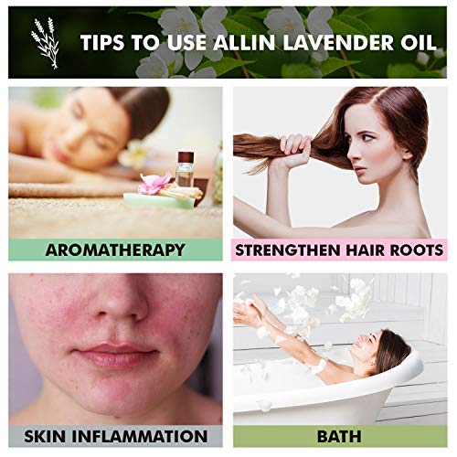 Allin Exporters Lavender Essential Oil Pure, Natural &amp; Undiluted Therapeutic Grade for Skin, Hair, Diffusers &amp; Aromatherapy (30 ML)(FROM INDIA)NUSS - View 3 of 4