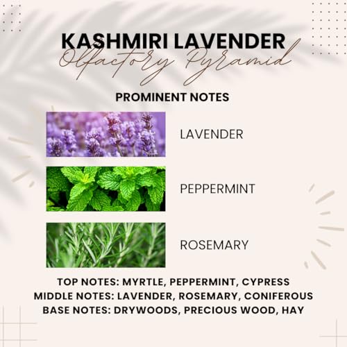 Kashmiri Lavender by Attarang - Premium Lavender Perfume Oil | Rare Ingredients for Long-lasting, Captivating Scent - Attar 10ml - View 3 of 4