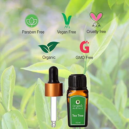 Organic Harvest Combo of Ylang Ylang Essential Oil, 10 with Tea Tree Essential Oil, 10 ml - View 3 of 4
