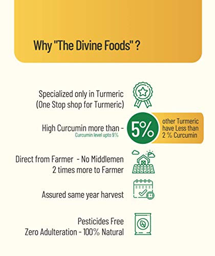 The Divine Foods Organic Turmeric Powder High Curcumin-500 Gm - View 4 of 6