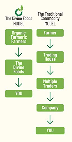 The Divine Foods Organic Turmeric Powder High Curcumin-500 Gm - View 3 of 6