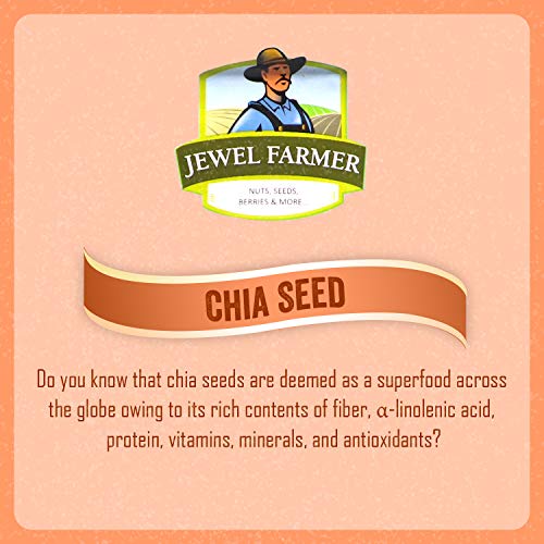 JEWEL FARMER Black Chia Seeds Raw &amp; Unroasted Superfood with Protein, Dietry Fiber &amp; Omega 3 (100g) - View 3 of 3