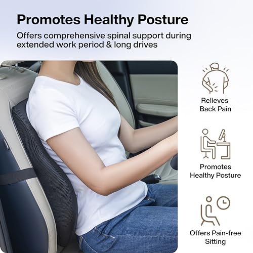 FOVERA Back Support for Chair, Memory Foam Car Seat Back Support, Orthopedic Lumbar Support Back Rest for Back Pain Relief - Back Pillow for Sitting (Mesh Black, Large) - View 7 of 8