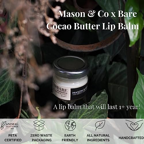 Mason &amp; Co x Bare Necessities Moisturizing Cocoa Butter Lip Balm | Chocolate Flavoured Hydrating Lip Balm for Dry Chapped Lips | Natural Non-sticky Lipbalm For Dry &amp; Dark Lips | Vegan, Natural, Organic | For Men &amp; Women | Lip Balm Without Tint - 20g - View 4 of 4