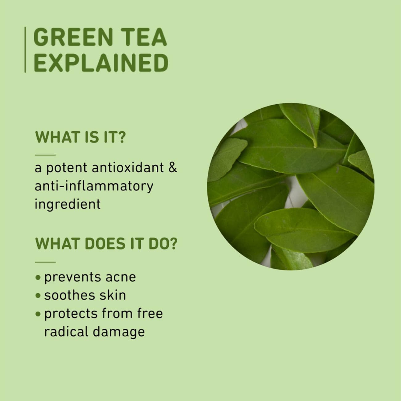 Plum Green Tea Oil-Free Moisturizer For Face - View 7 of 8