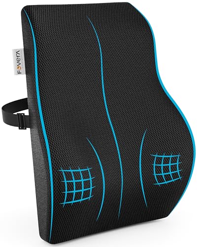 FOVERA Back Support for Chair, Memory Foam Car Seat Back Support, Orthopedic Lumbar Support Back Rest for Back Pain Relief - Back Pillow for Sitting (Mesh Black, Large) - Shop at Colombo Mall